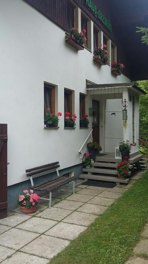 Haus-Erzberg Bed & Breakfast Vordernberg Екстериор снимка