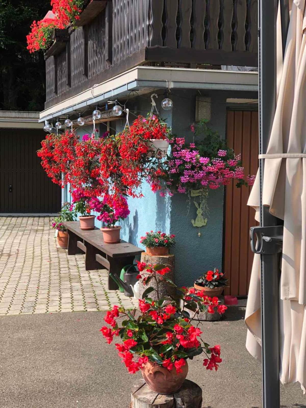 Haus-Erzberg Bed & Breakfast Vordernberg Екстериор снимка